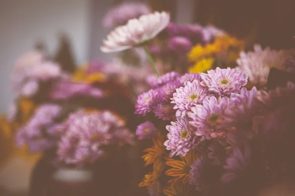 Beautiful lilac flowers — Stock Photo, Image