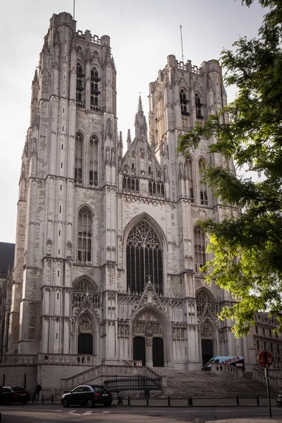 Catedral de San Miguel y Gúdula . — Foto de Stock