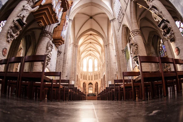 Cattedrale di San Michele e Gudula . — Foto Stock