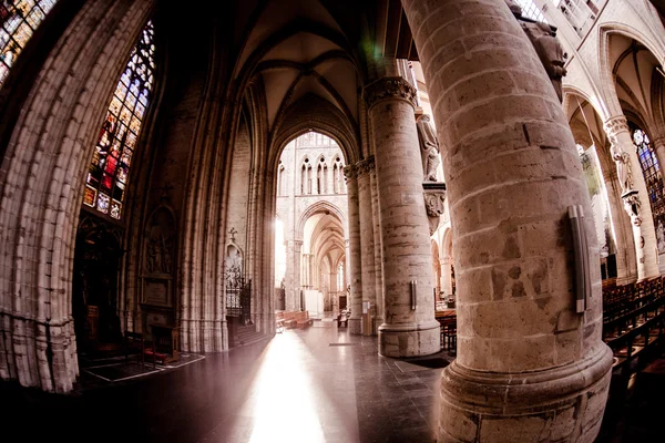 Catedral de São Miguel e Gudula . — Fotografia de Stock