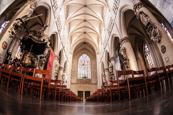 Catedral de São Miguel e Gudula . — Fotografia de Stock