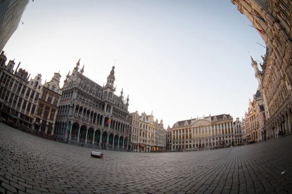 Bryssel grand place — Stockfoto