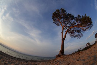 Baykal Gölü. Yaz günbatımı Olkhon Adası