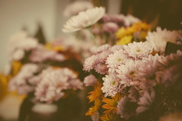 Hermosas flores lila —  Fotos de Stock