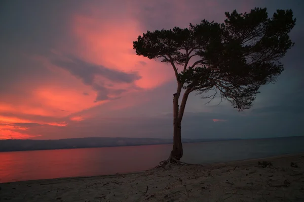 Lago Baikal —  Fotos de Stock