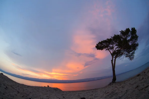 Baykal Gölü — Stok fotoğraf