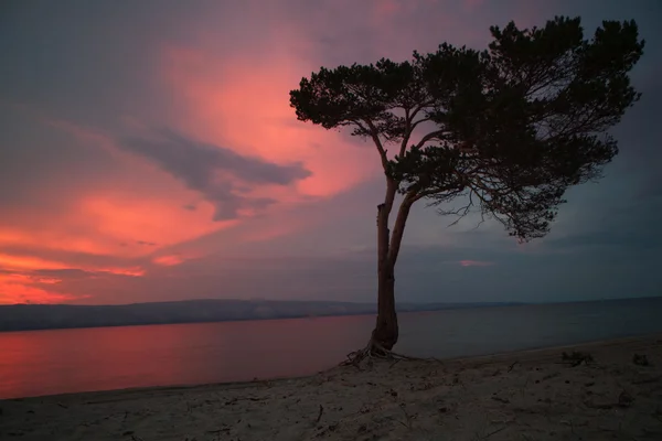 Baykal Gölü — Stok fotoğraf