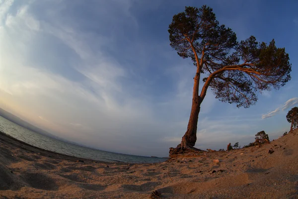 Baykal Gölü. Yaz günbatımı Olkhon Adası — Stok fotoğraf