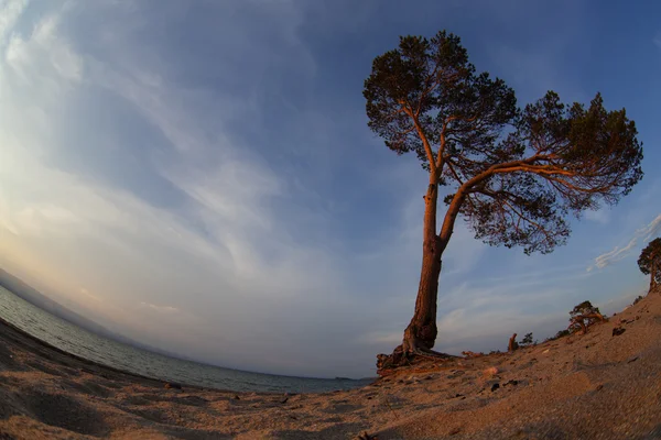 Baykal Gölü. Yaz günbatımı Olkhon Adası — Stok fotoğraf