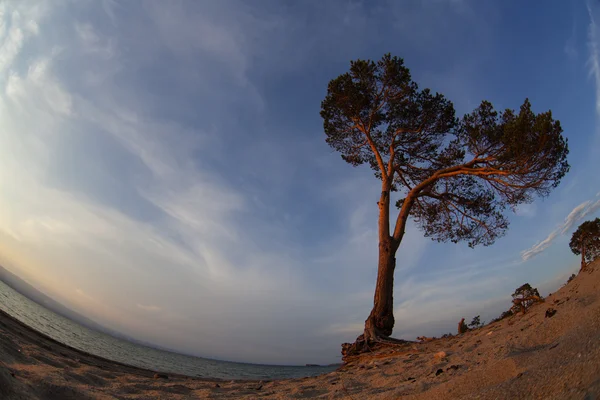 バイカル湖。モンゴルへの島の夏の夕日 — ストック写真