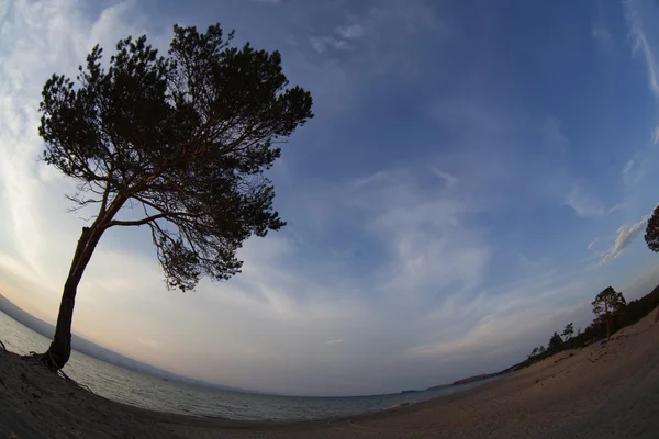 Bajkal sjön. Sommar solnedgång på ön Olkhon — Stockfoto