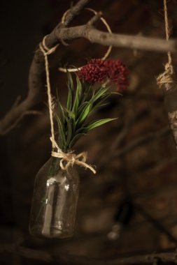 Çiçeklik cam duvarın yanında asılı