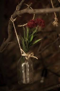 Çiçeklik cam duvarın yanında asılı