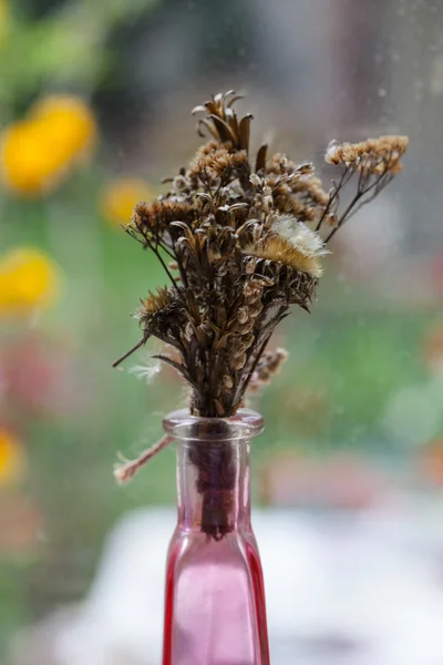Styl Vintage martwa natura z suszonych kwiatów na oknie — Zdjęcie stockowe