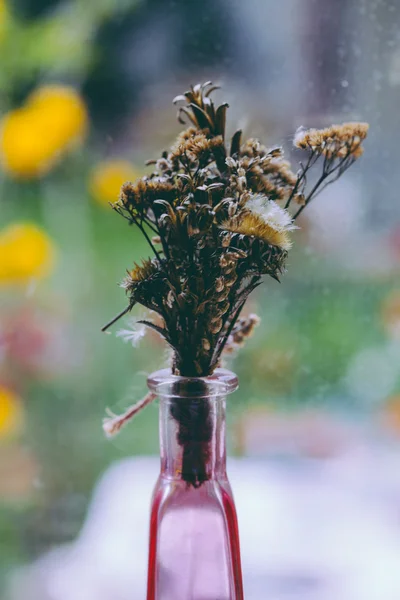 Bodegón de estilo vintage con flores secas en la ventana —  Fotos de Stock