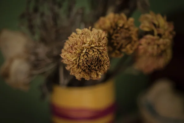 Vintage style still life  with dried flowers on green background — Stock Photo, Image