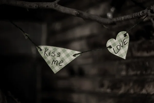 Gingham love valentine 's hearts natural cord and red clips hanging on rustic driftwood texture background, copy space — Stockfoto