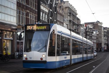Amsterdam tramvay