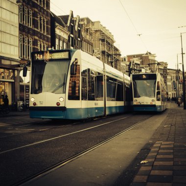 Amsterdam tramvay
