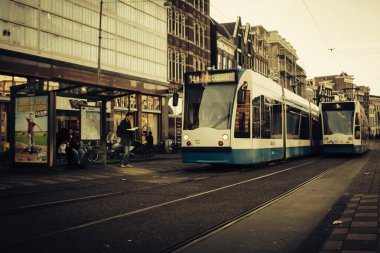 Amsterdam tramvay