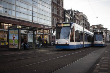 Amsterdam tramvay
