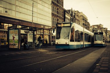 Amsterdam tramvay