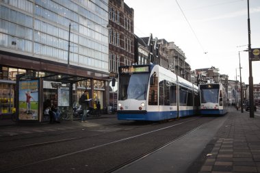 Amsterdam tramvay