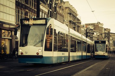 Amsterdam tramvay