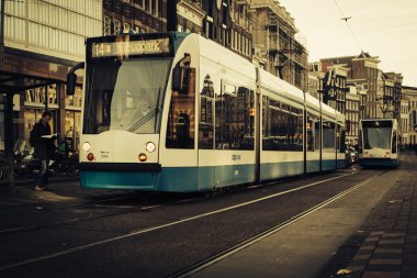 Amsterdam tramvay