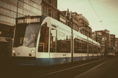 Amsterdam tramvay