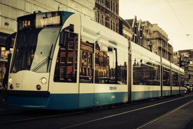 Amsterdam tramvay