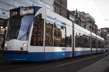 Amsterdam tramvay