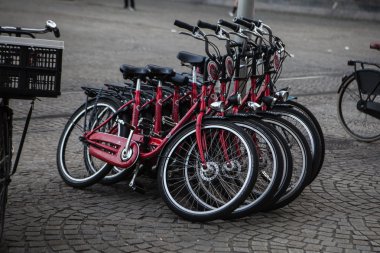 Auckland waterfront Kiralama Kiralık.