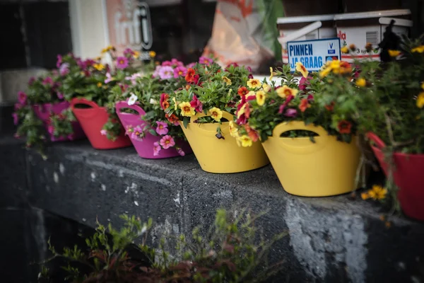 Vackra gatan dekorerad med blommor — Stockfoto