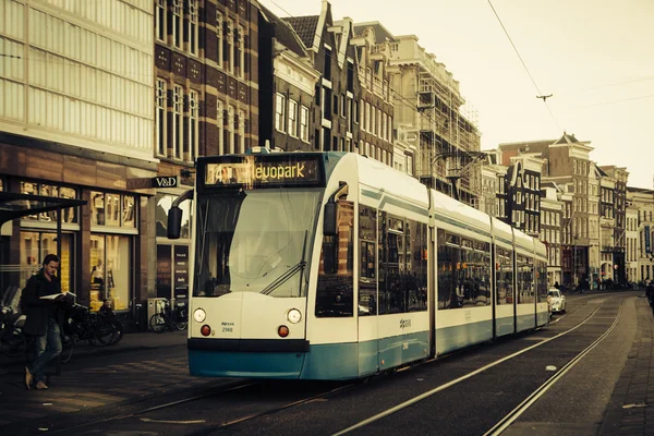 Amsterdam tramvay