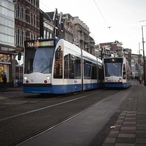 Amsterdam tramvay
