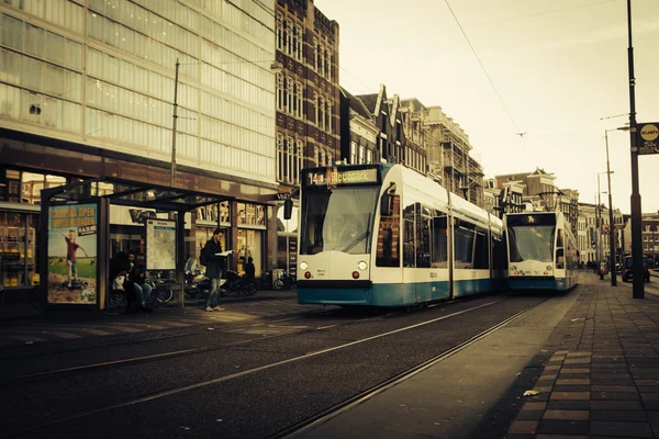 Amsterdam tramvay