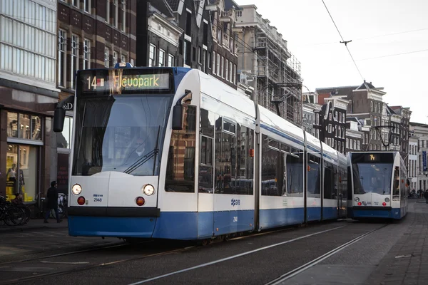 Amsterdam tramvay