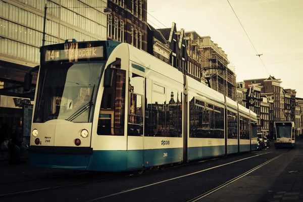 Amsterdam tramvay