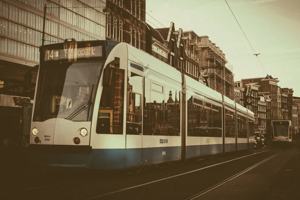 Amsterdam tramvay