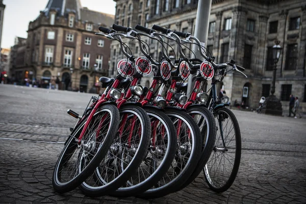 Auckland waterkant fiets huren. — Stockfoto