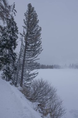 Strbske Pleso, Slovakya 'nın High Tatras kentinde kış gölü turistik merkezi.