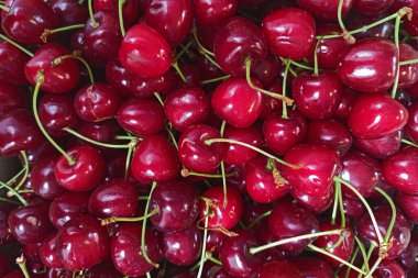 Çiftçi pazarında kutuda bir sürü taze kırmızı organik kiraz