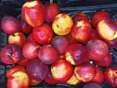 Piyasada satılık taze sulu kırmızı nektarlar.