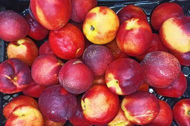 Piyasada satılık taze sulu kırmızı nektarlar.