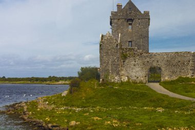 Doğu İrlanda 'da, gölün yanında geleneksel İrlanda kalesi.