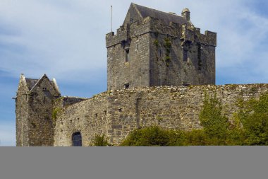 Doğu İrlanda 'da, gölün yanında geleneksel İrlanda kalesi.