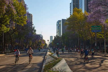 Mexico City, Meksika - 14 Mart 2022: Paseo Dominik açık sokak etkinliği sırasında Paseo de la Reforma 'da bisikletçilerin görüntüsü