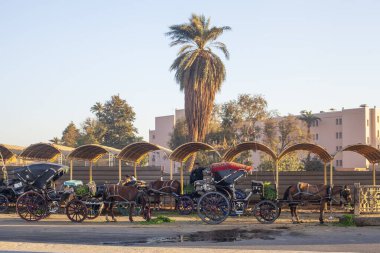 Luxor, Mısır - 10 Mart 2025: Turistik bölgedeki şehir merkezinde heykel harfleri 