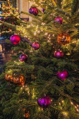 Yılbaşı ağaçları, dekorasyonlar ve ışıklar